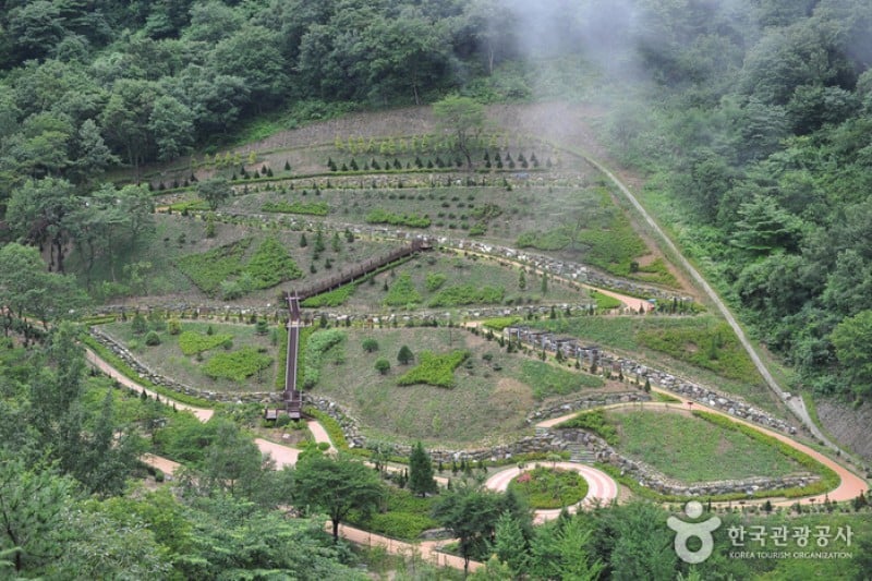 大雅樹木園