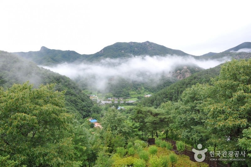 大雅樹木園