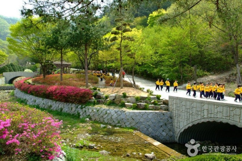 大雅樹木園