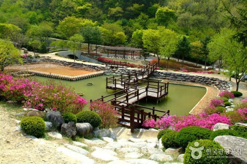 大雅樹木園