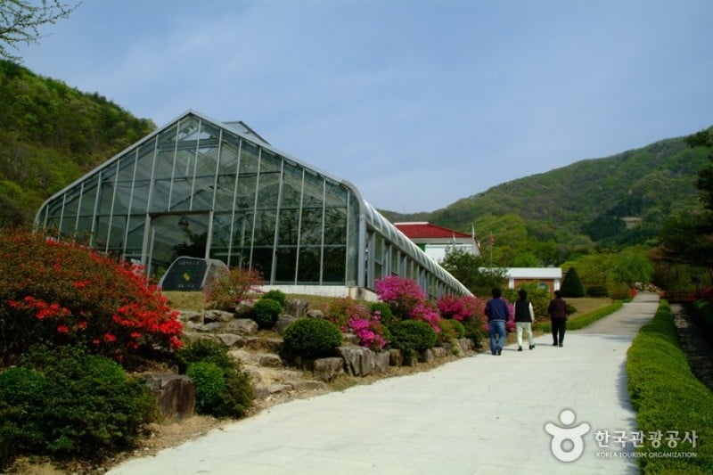 大雅樹木園