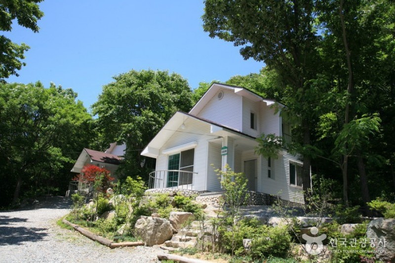 回文山自然休養林