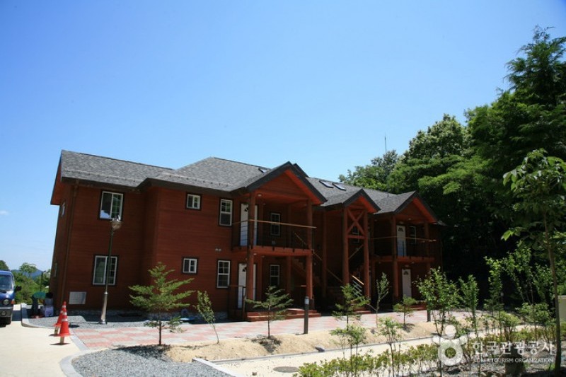 回文山自然休養林
