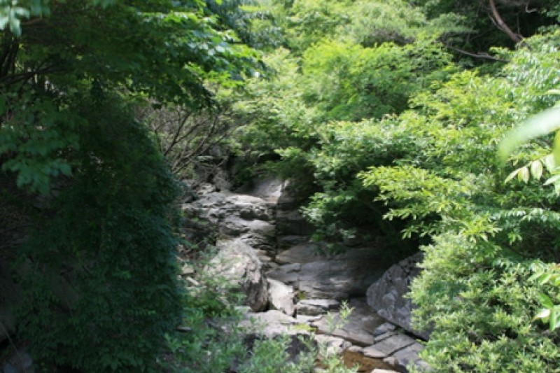 回文山自然休養林