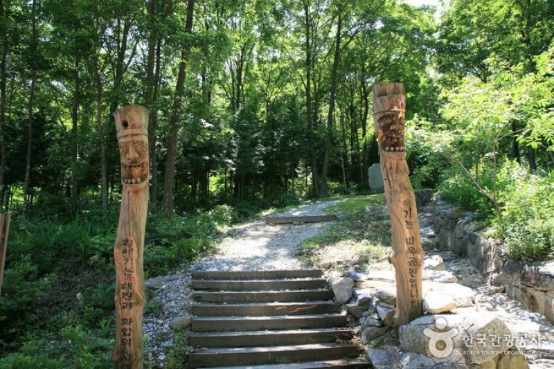 回文山自然休養林