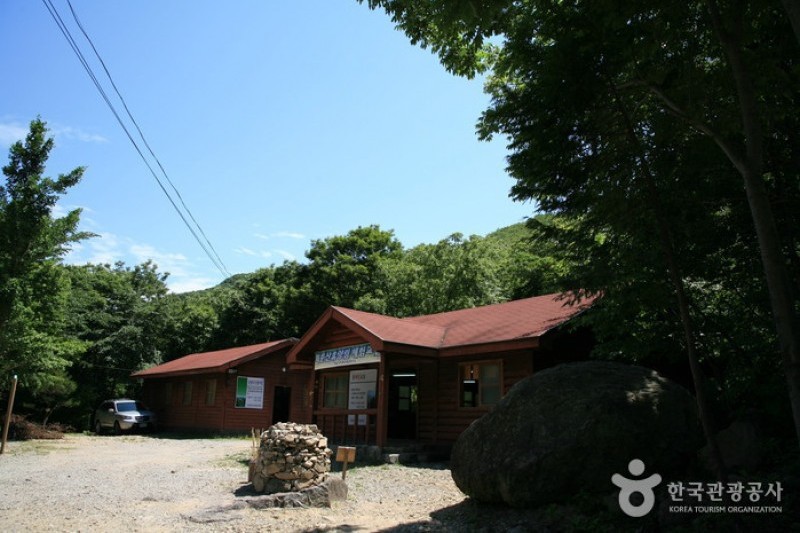 回文山自然休養林