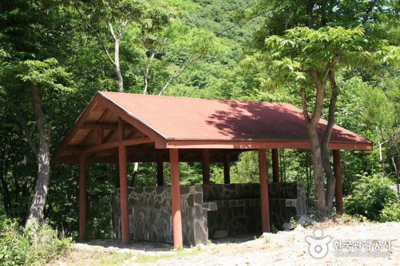 回文山自然休養林