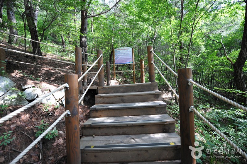 跆拳道公園展望臺