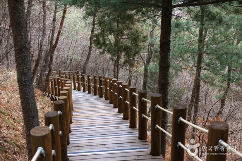 跆拳道公園展望臺