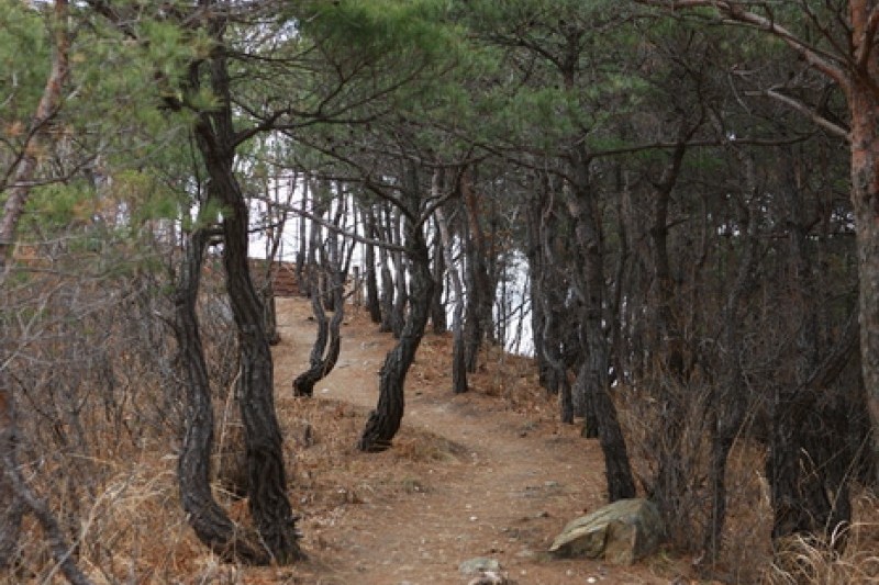 跆拳道公園展望臺