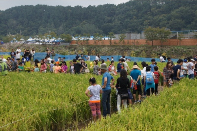 完州Wild Food慶典
