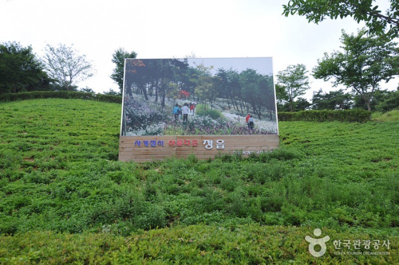 玉井湖九節草主題公園 (2/23)