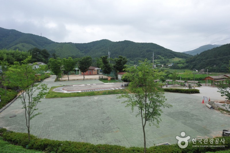 玉井湖九節草主題公園 (3/23)