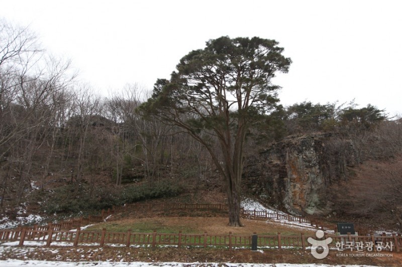 禪雲山道立公園