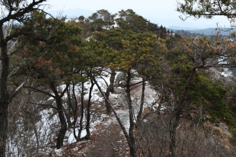 禪雲山道立公園