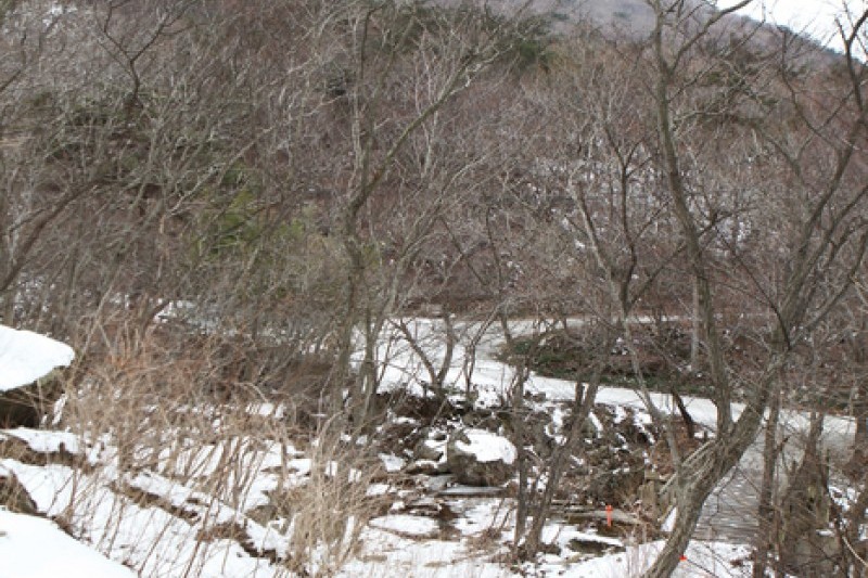 禪雲山道立公園