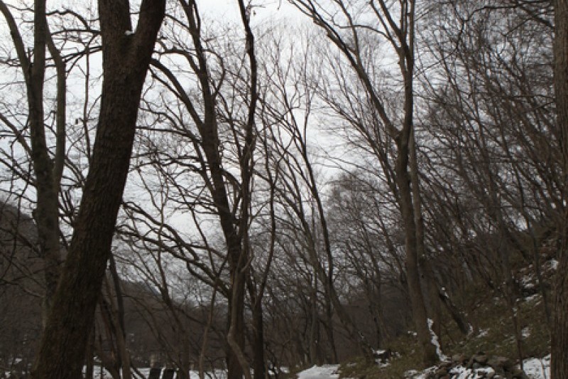 禪雲山道立公園