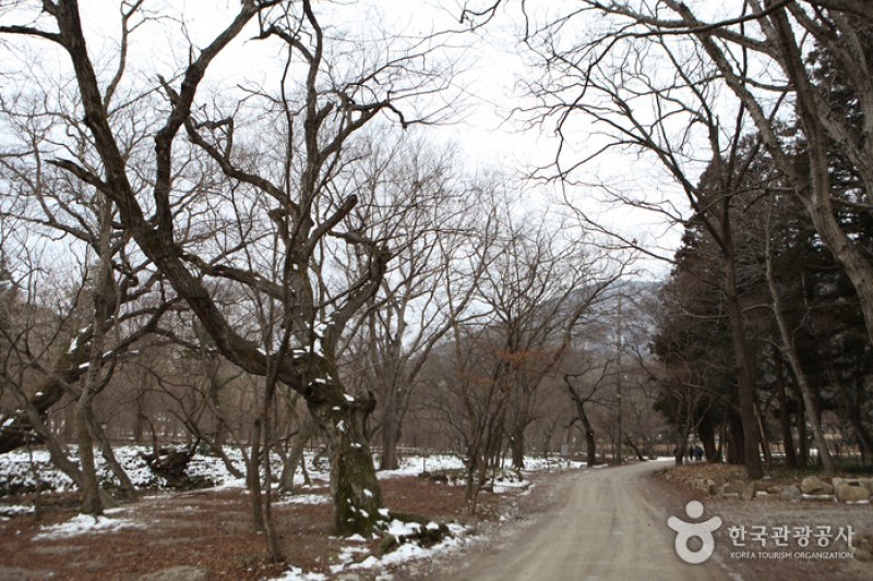 禪雲山道立公園