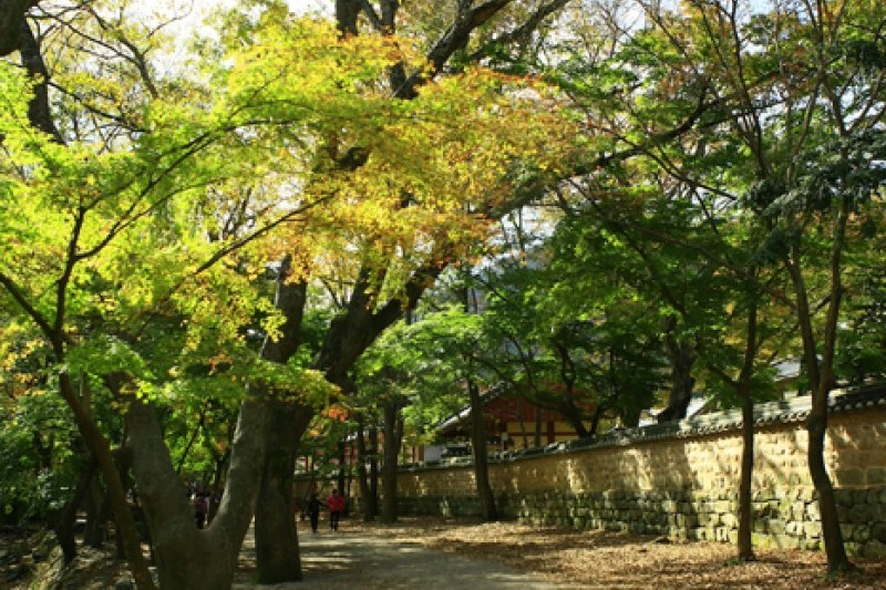 禪雲山道立公園
