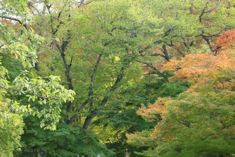 禪雲山道立公園