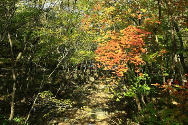禪雲山道立公園