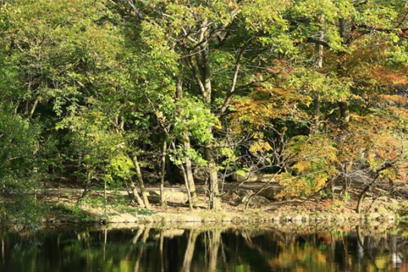 禪雲山道立公園
