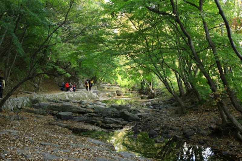禪雲山道立公園