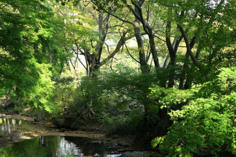 禪雲山道立公園