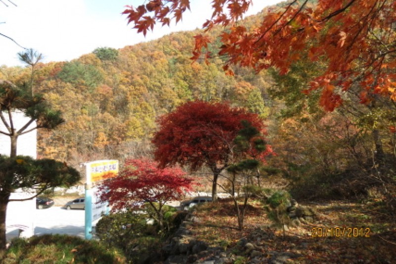 智異山可汗飯店[優秀住宿設施 Goodstay]