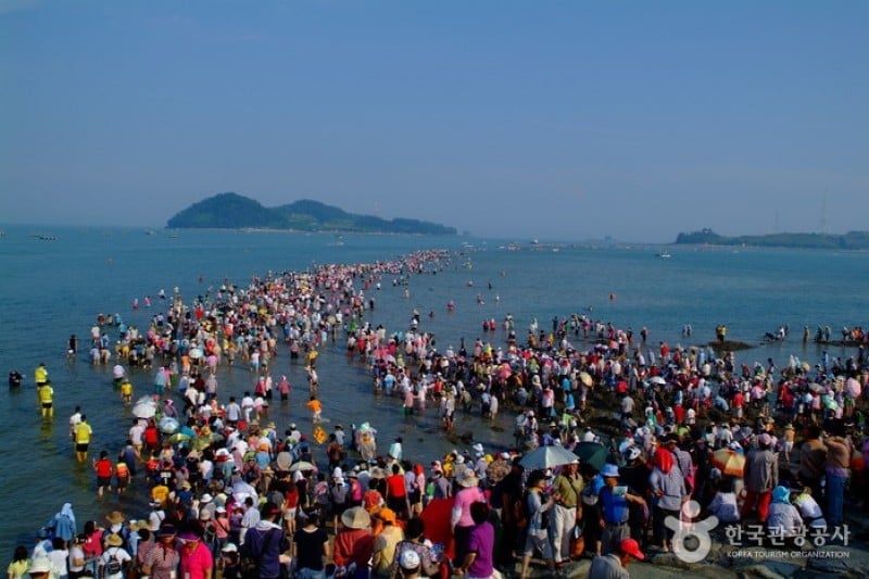 珍島神秘海路 (2/7)