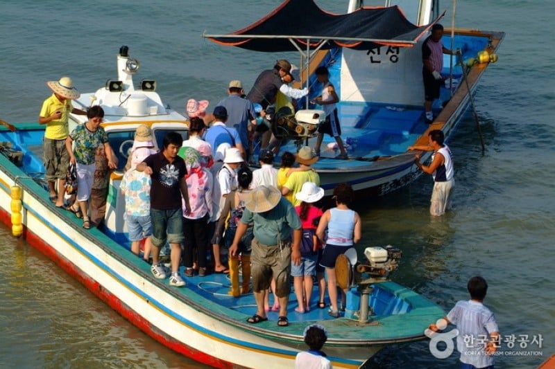 珍島神秘海路 (3/7)