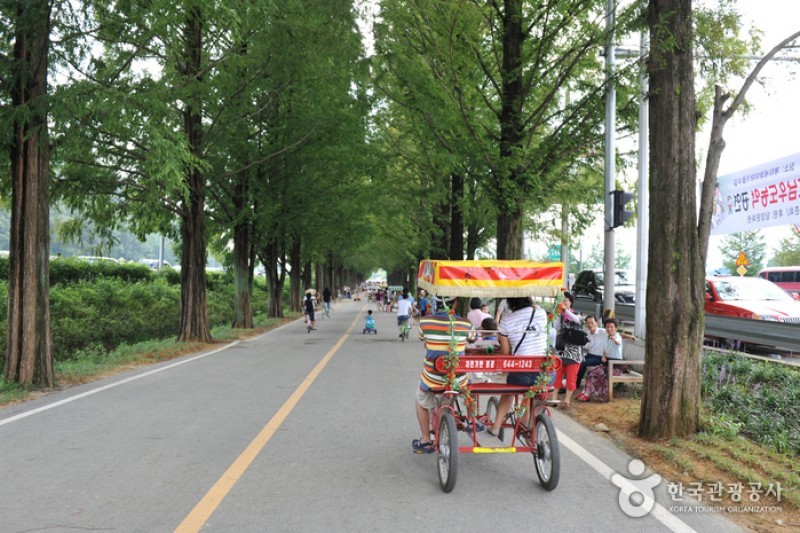 潭陽水杉林蔭道 (15/17)