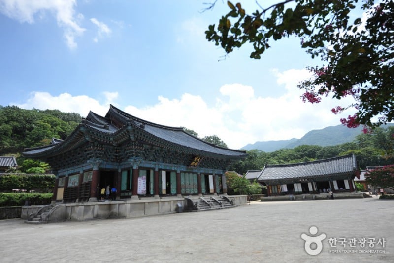 松廣寺 (5/6)