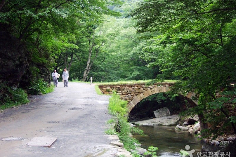 仙巖寺 (8/21)