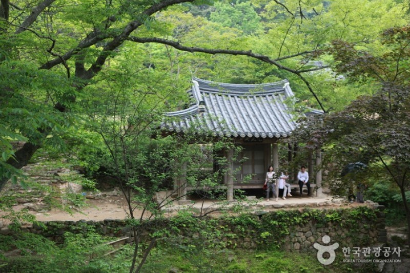 潭陽瀟灑園 (3/19)