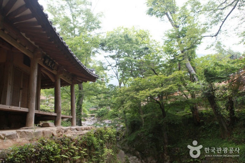 潭陽瀟灑園 (5/19)