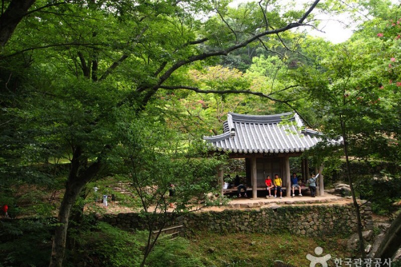 潭陽瀟灑園 (8/19)