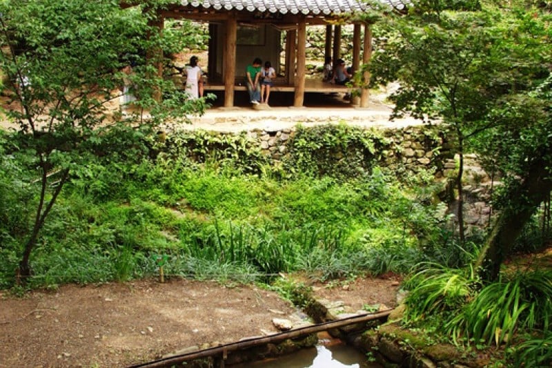 潭陽瀟灑園 (11/19)