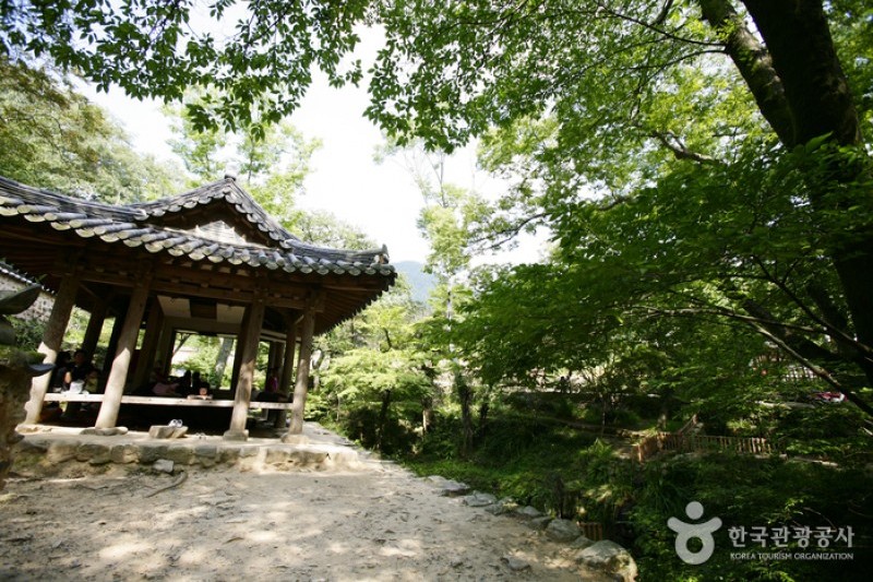 潭陽瀟灑園 (15/19)