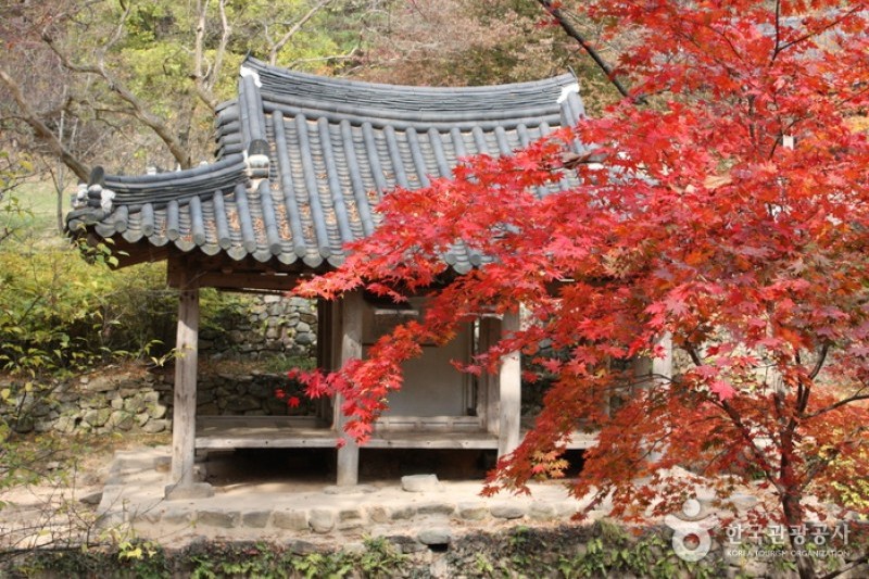潭陽瀟灑園 (16/19)
