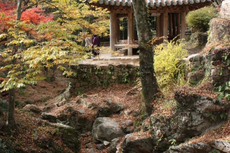潭陽瀟灑園 (18/19)
