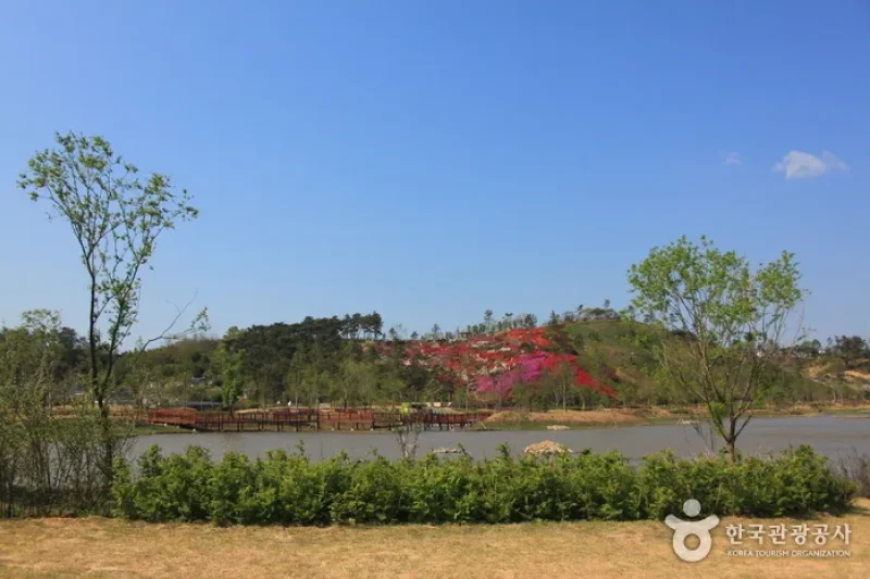 順天灣國際園藝博覽會