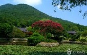 珍島雲林山房
