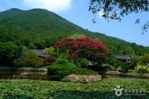 珍島雲林山房
