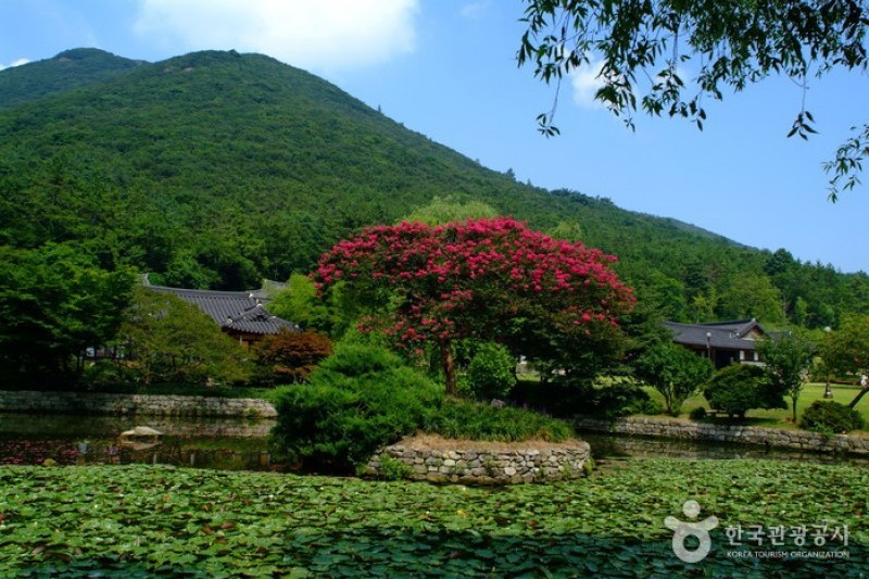 珍島雲林山房 (1/7)