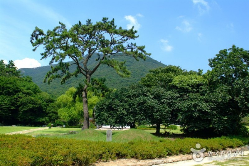 珍島雲林山房 (2/7)