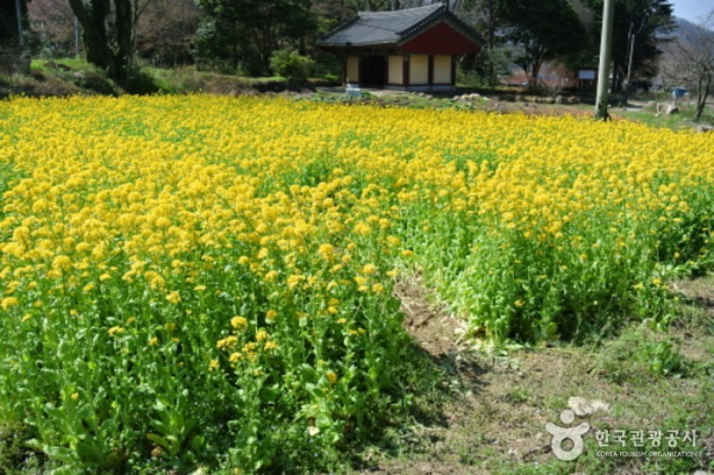 尖察山雙溪寺 (17/18)