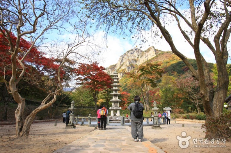 古佛叢林白羊寺 