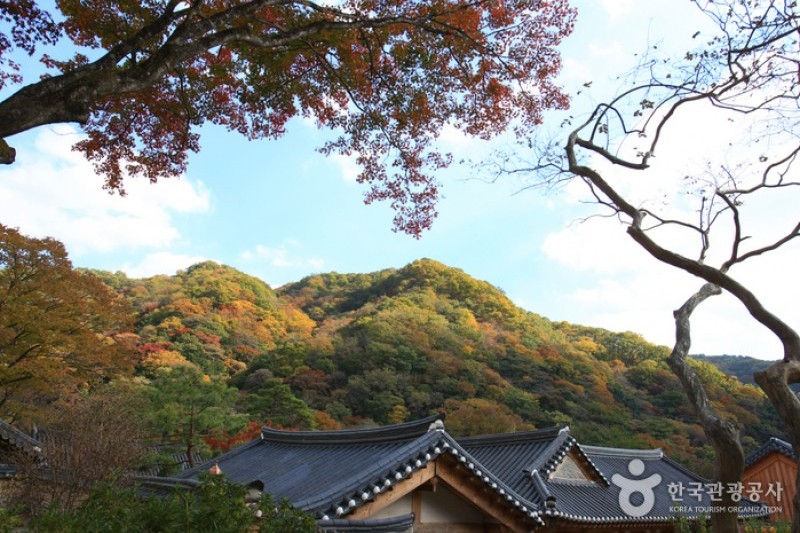 古佛叢林白羊寺 
