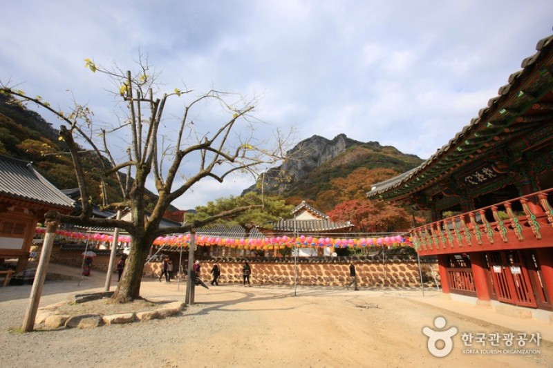 古佛叢林白羊寺 